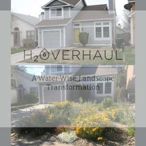House and garden background photo with H2Overhaul Logo