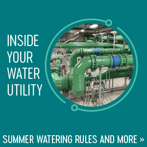 Summer watering rules graphic